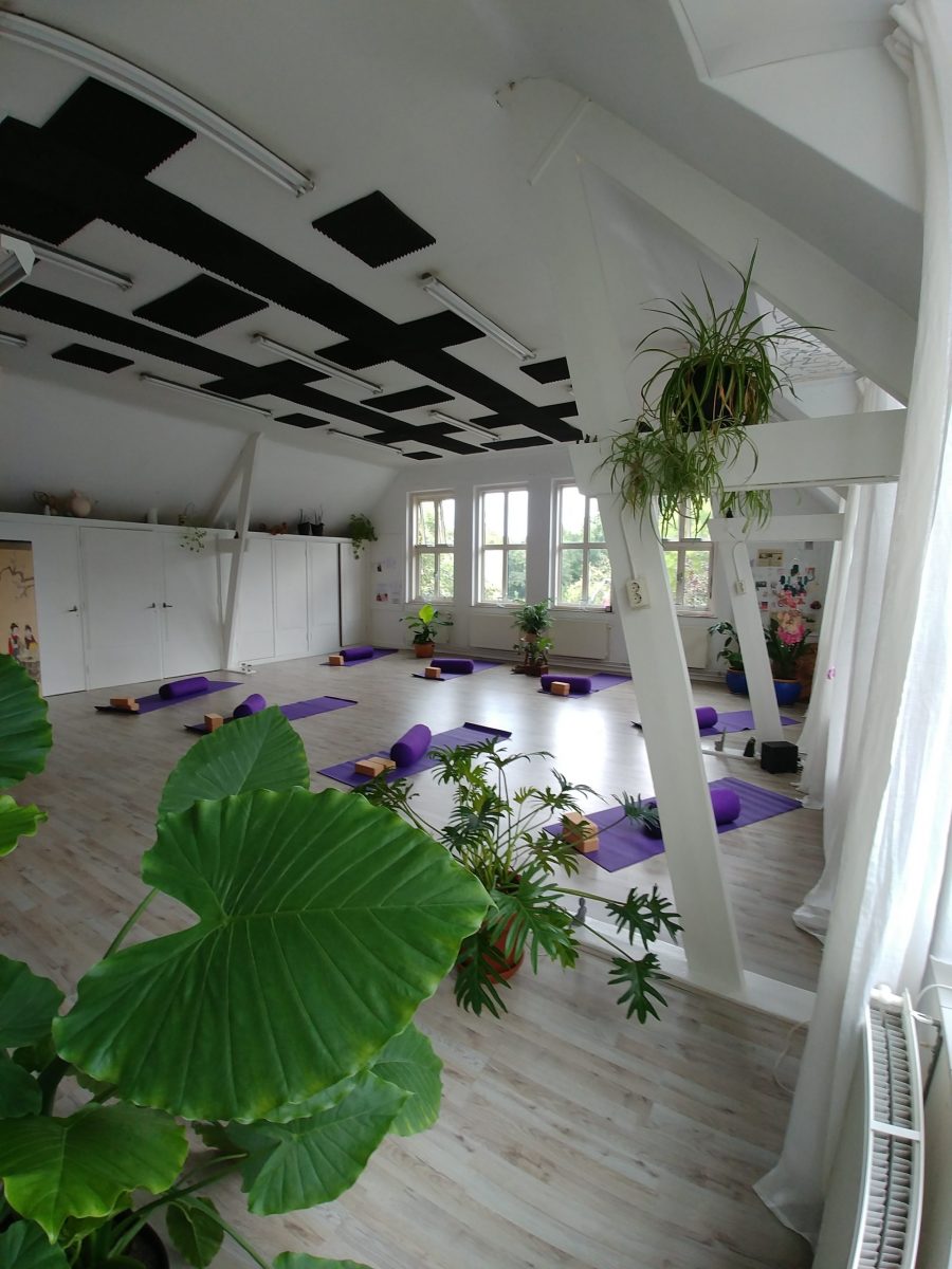 Yogalein yin yoga vught